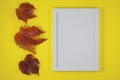 Autumn composition. Photo frame, dried leaves. Autumn, fall Flat lay top view Royalty Free Stock Photo