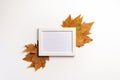 Autumn composition. Photo frame, maple leaves, on white background