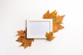 Autumn composition. Photo frame, maple leaves, on white background.