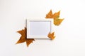 Autumn composition. Photo frame, maple leaves, on white background.