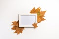 Autumn composition. Photo frame, maple leaves, on white background
