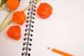 Autumn composition. Physalis, a notebook with blank sheets, orange pencil. Copy space Royalty Free Stock Photo