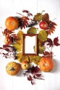 Autumn composition. Pumpkin, apples, dry leaves, wild grapes, frame on a white wooden background. Royalty Free Stock Photo