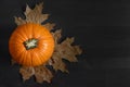 Autumn composition. Pumpkin, dry leaves on a dark wooden background. Autumn thanksgiving day background. Fall concept Royalty Free Stock Photo