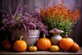 Autumn composition of pumpkin, heather and colorful flowers in pots