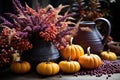 Autumn composition of pumpkin, heather and colorful flowers in pots