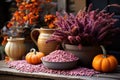 Autumn composition of pumpkin, heather and colorful flowers in pots