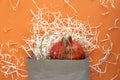 Autumn composition. Pumpkin on orange background in craft paper bag. Template autumn, fall, halloween, harvest thanksgiving farm