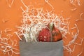 Autumn composition. Pumpkin on orange background in craft paper bag. Template autumn, fall, halloween, harvest thanksgiving farm