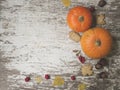 Autumn composition. Pumpkins, dried leaves, cookies, chestnuts, hawthorn and barberry fruits on a white vintage Royalty Free Stock Photo