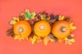 Autumn composition. Pumpkins, dried leaves on coral orange background. Autumn harvest, thanksgiving, halloween concept. healthy di Royalty Free Stock Photo