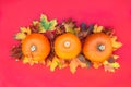 Autumn composition. Pumpkins, dried leaves on Crimson red background. Autumn harvest, thanksgiving, halloween concept. healthy die Royalty Free Stock Photo