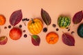 Autumn composition. Pumpkins, dried leaves, nuts and cones on neutral orange background. Autumn, fall, halloween