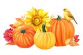 Autumn composition, pumpkins, flowers, sunflowers, dahlia, yellow leaves, berries, birds, white background, watercolor