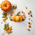 Autumn composition with pumpkins, leaves and berries on white background Royalty Free Stock Photo