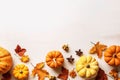 Autumn composition. Pumpkins, leaves and spices on white wooden background. Flat lay, top view, copy space Royalty Free Stock Photo