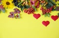 Autumn composition with red heart. Maple leaves, flowers and rowan berries on yellow background.