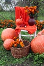 Autumn composition : ripe pumpkins gathered around a white chair with an orange scarf and bouquet, wicker basket with flowers,