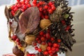 Autumn composition. Rowan berries, cones, acorns, colorful leaves, walnut, chestnut. Fall concept