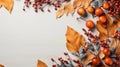 Autumn composition with rowan berries and leaves on white wooden background Royalty Free Stock Photo
