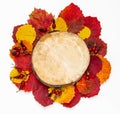 Autumn composition. Saw cut of a tree and autumn fallen leaves red and yellow on a white background. Copy space Royalty Free Stock Photo
