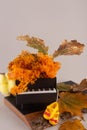 Autumn composition. Small toy black piano and fall decorations. Orange color moss, yellow cotton flower, dry oak leaves Royalty Free Stock Photo