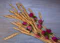 Autumn composition of spikelets of wheat and clover flowers on gray wooden background Royalty Free Stock Photo