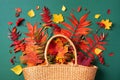 Autumn composition. Straw bag with autumn dried leaves on green background. Flat lay. Top view. Copy space. Fall season Royalty Free Stock Photo