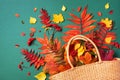 Autumn composition. Straw bag with autumn dried leaves on green background. Flat lay. Top view. Copy space. Fall season Royalty Free Stock Photo