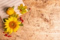 Autumn composition. Sunflower, notebook for notes, red berries, and pumpkins