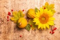 Autumn composition. Sunflower, red berries, and pumpkins