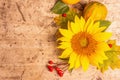 Autumn composition. Sunflower, red berries, and pumpkins