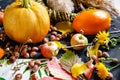 Autumn composition on the table of textile, pumpkin, apples, nuts and dried flowers. Royalty Free Stock Photo