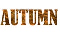 Autumn composition. Text Autumn from orange with golden letters on white background. Concept Hello fall. Creative Top view Flat