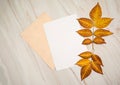 Two sheets of paper, yellow-brown leaves on a marble background. Free space for your text. Royalty Free Stock Photo