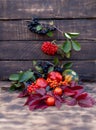 Autumn composition of vegetables and leaves. Colorful still life of pumpkin, pepper, tomatoes, ashberries on an old Royalty Free Stock Photo