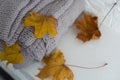 Autumn composition. warm knitted plaid, yellow leaves on white background. Autumn, fall concept Royalty Free Stock Photo