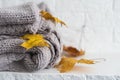 Autumn composition. warm knitted plaid, yellow leaves on white background. Autumn, fall concept Royalty Free Stock Photo