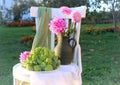 Autumn composition on a white chair : broccoli cabbage with a bouquet of delicate dahlias on the background of a garden plot, Royalty Free Stock Photo