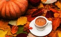 Autumn composition: white cup of coffee and pumpkins on colorful autumn leaves. Creative thanksgiving and fall concept
