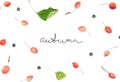 Autumn composition with wild apples and blueberries with handwritten inscription `autumn` on white background. Flat