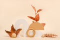 Autumn composition from wood toys and colorful falling leaves on light background. autumn festival background and Banner design Royalty Free Stock Photo