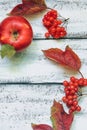 Autumn composition on a wooden background. Apples, viburnum, eggplant, leaves and flowers