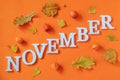 Autumn composition. Word November from white letters and bright autumn leaves herbarium on orange paper background. Concept Hello