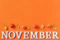 Autumn composition. Word November from white letters and bright autumn leaves herbarium on orange paper background. Concept Hello