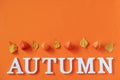 Autumn composition. Word Autumn from white letters and bright autumn leaves herbarium on orange paper background. Concept Hello