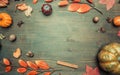 Autumn composition, yellow leaves, small pumpkins frame on wooden background, space for text flat lay Royalty Free Stock Photo