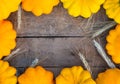 Autumn composition with yellow patissons on an old wooden background. With copy space. Royalty Free Stock Photo