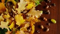 Autumn composition of yellow and red maple, linden and oak leaves with caps and acorns on a brown background macro