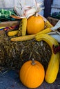 Autumn concept. Autumn composition. Corn, orange pumpkins on a hay bale and autumn plants and flowers